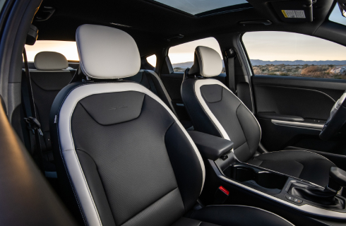 KIA interior